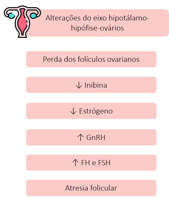 Tumor de células da granulosa do ovário - Sanar Medicina