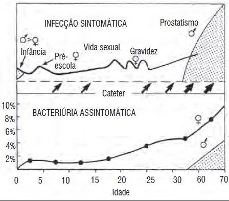 Gráfico sobre epidemiologia da Infecção do Trato Urinário.